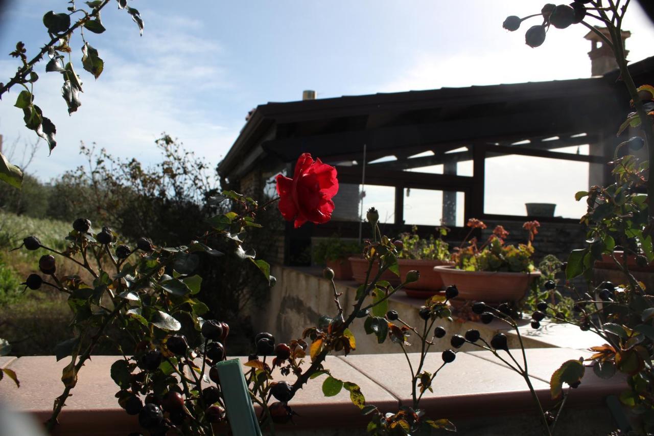La Casa Di Bia Bed and Breakfast Κορλεόνε Εξωτερικό φωτογραφία