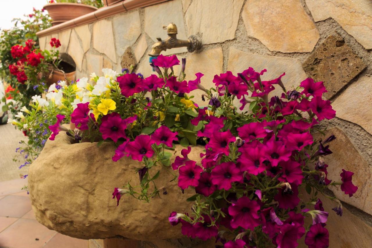 La Casa Di Bia Bed and Breakfast Κορλεόνε Εξωτερικό φωτογραφία